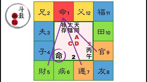 元寶嘴|紫微斗數健康紫微斗數 命宮無主星線是哪一條圖解是看左手還是。